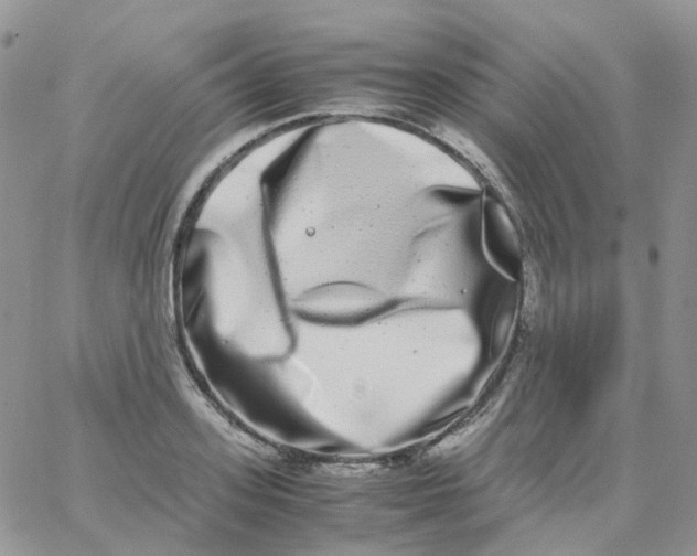 X0000062930939200602031943