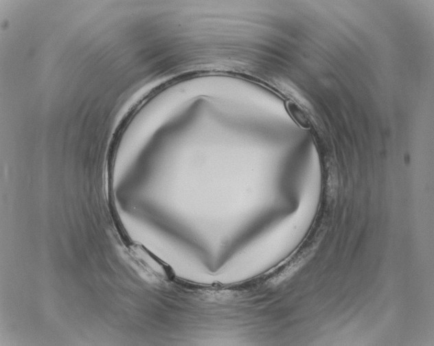 X0000062930940200602031943