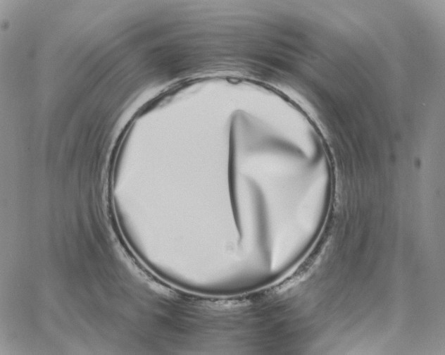 X0000062930949200602031943