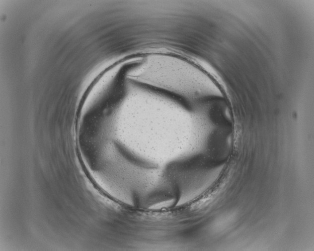 X0000062930951200602031943