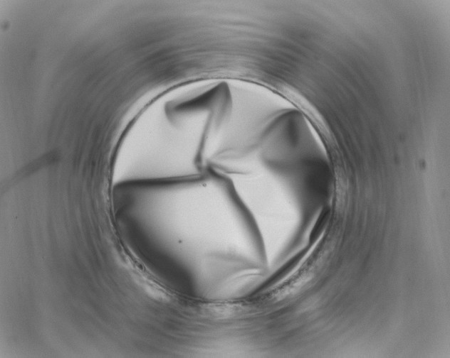 X0000062930956200602031943