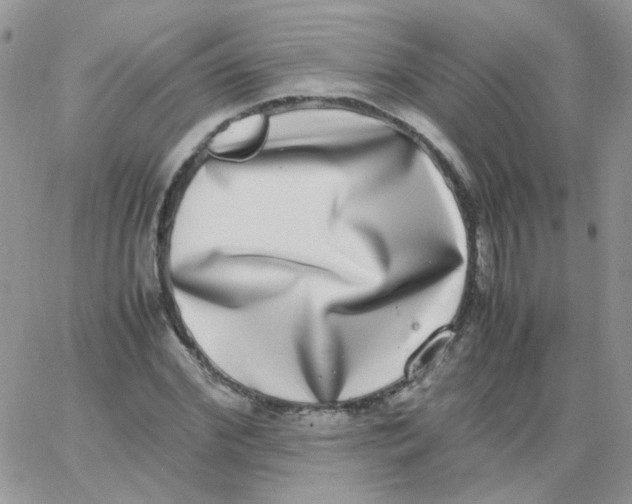X0000062930972200602031942