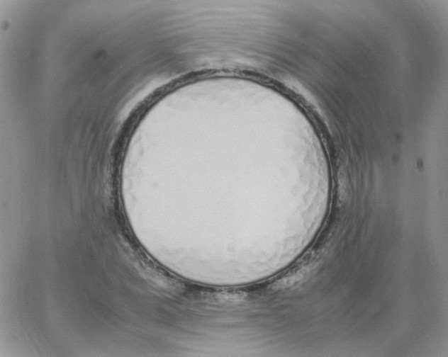 X0000062930975200602031942