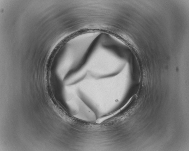 X0000062930976200602031942