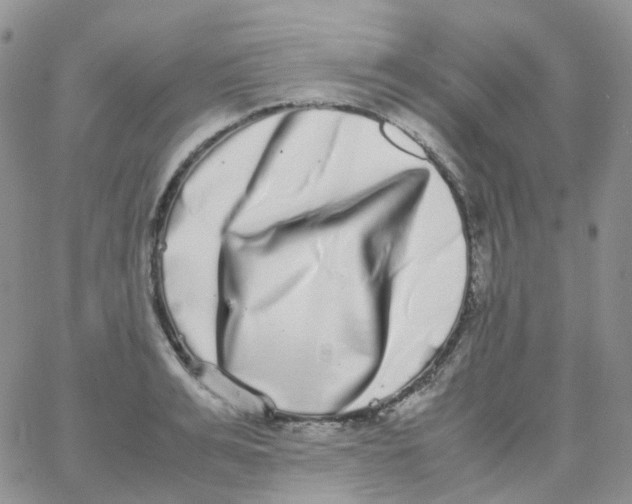 X0000062930991200602031942