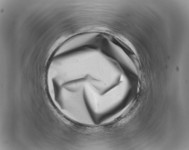 X0000062930997200602031942