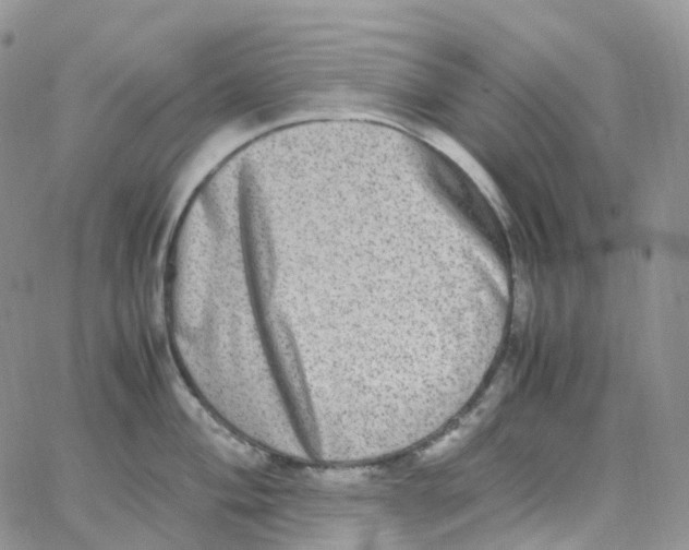 X0000062931004200602031942