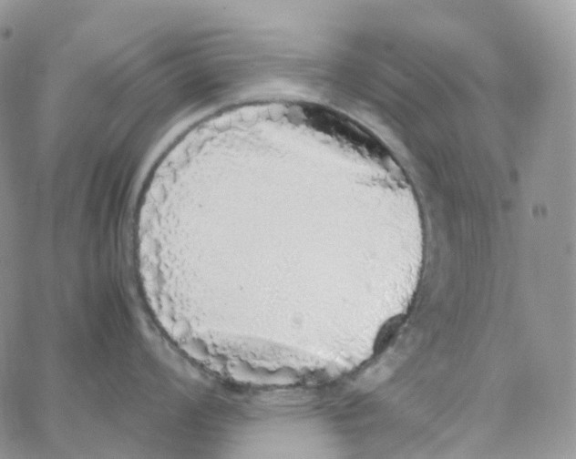 X0000062931008200602031942