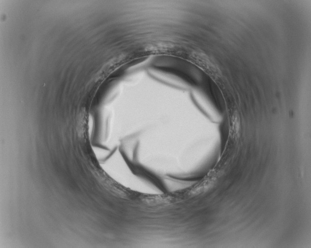 X0000062931012200602031941