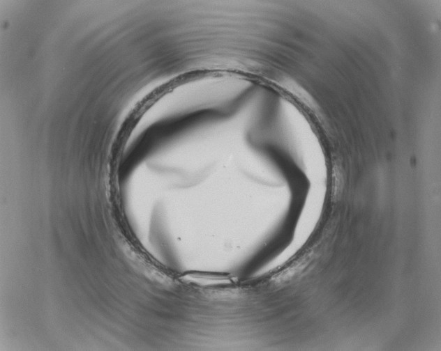 X0000062931020200602031941
