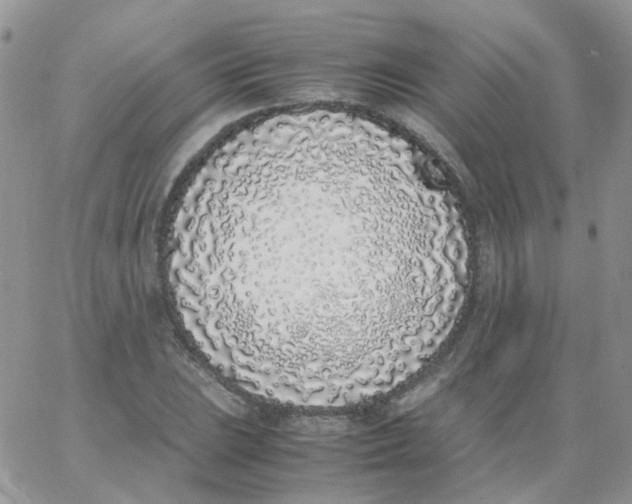 X0000062931023200602031941