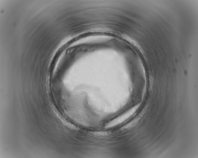 X0000062931029200602031941