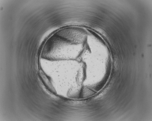 X0000062931030200602031941