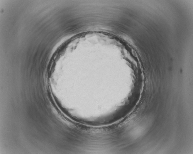 X0000062931032200602031942