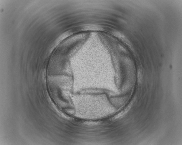 X0000062931033200602031942
