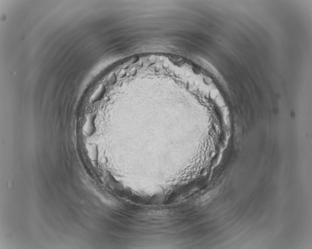 X0000062931035200602031942