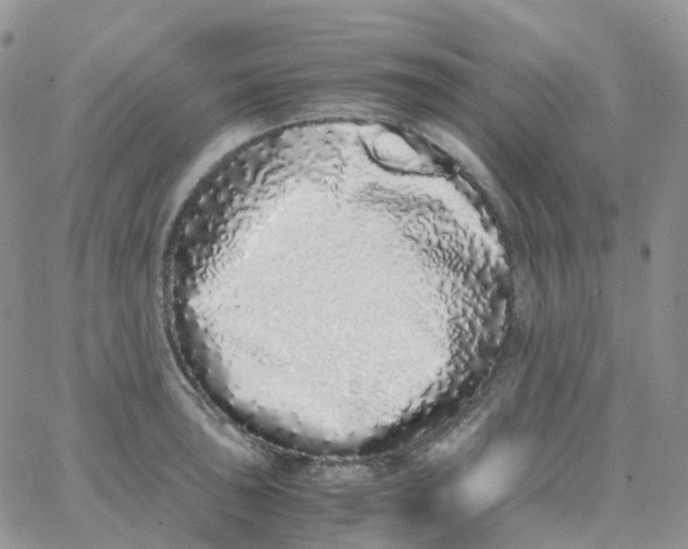 X0000062931043200602031942