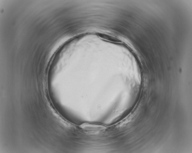 X0000062931048200602031942