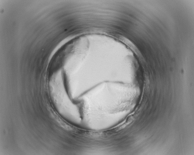 X0000062931052200602031942