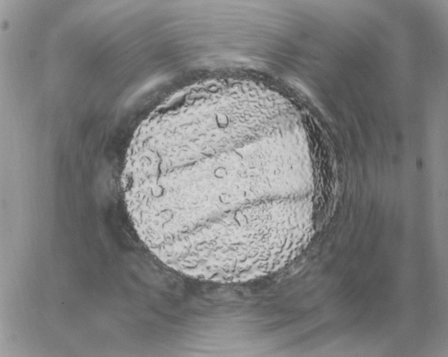 X0000062931063200602031941