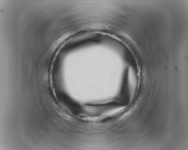 X0000062931065200602031941