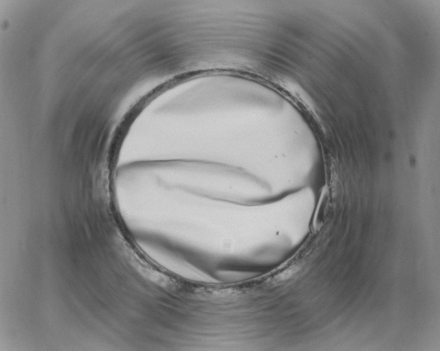 X0000062931072200602031941