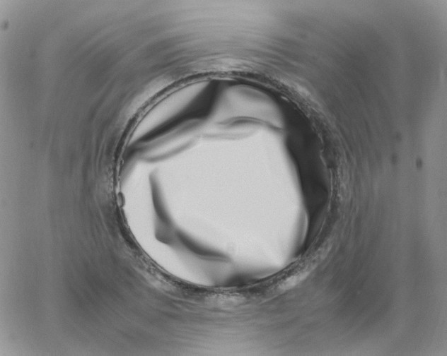 X0000062931073200602031941
