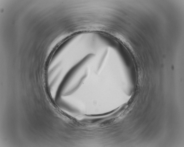 X0000062931085200602031941