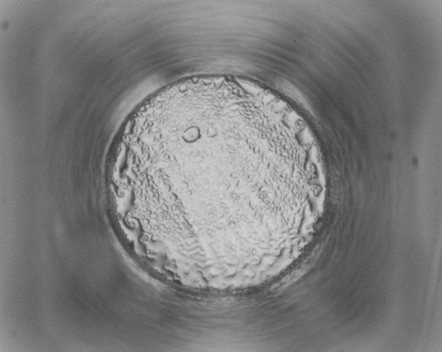X0000062931087200602031941