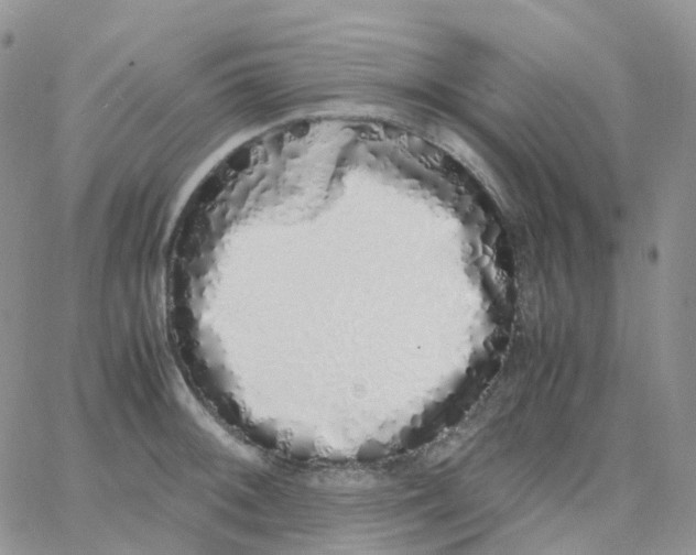 X0000062931092200602031941
