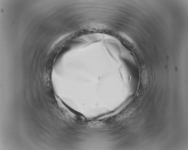 X0000062931112200602031940