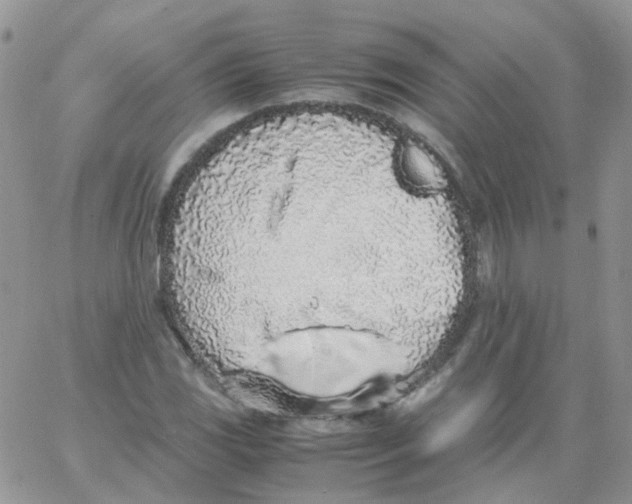 X0000062931117200602031940