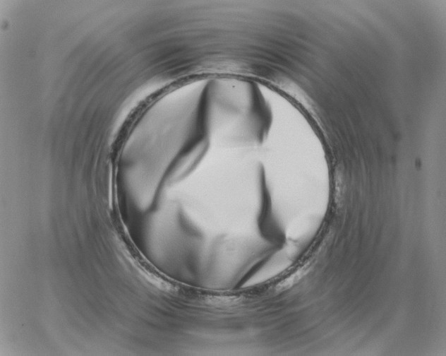 X0000062931123200602031940