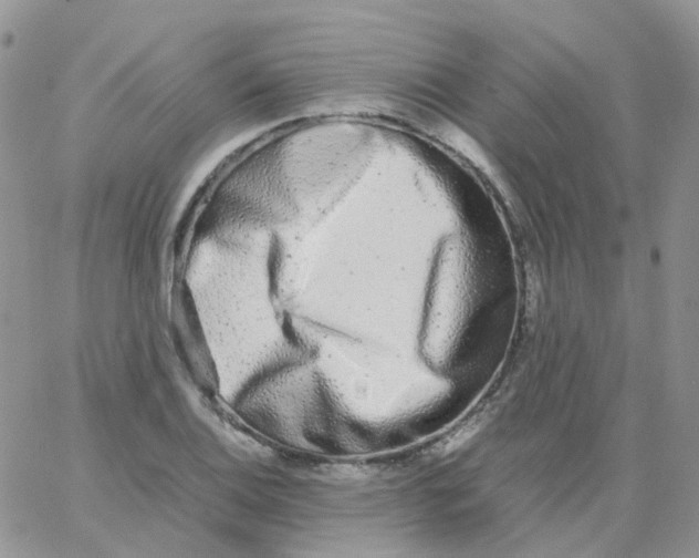 X0000062931124200602031940