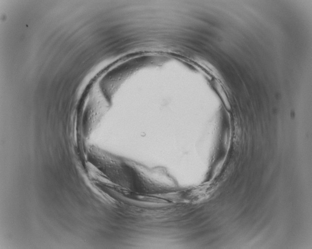 X0000062931128200602031940