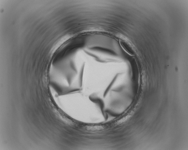 X0000062931129200602031940