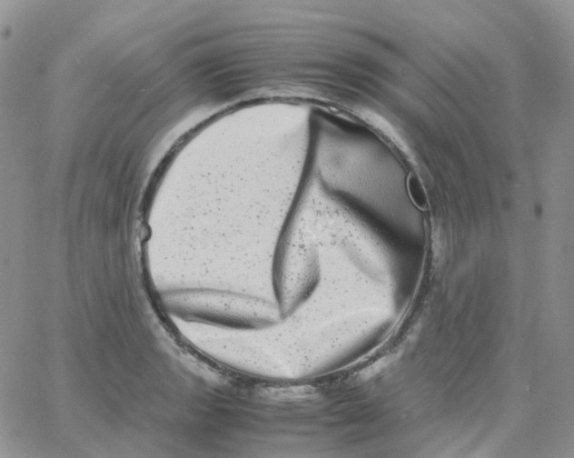 X0000062931133200602031940