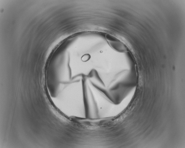 X0000062931136200602031940