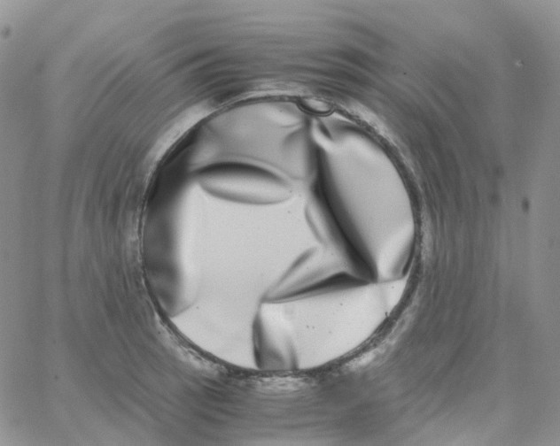 X0000062931137200602031940