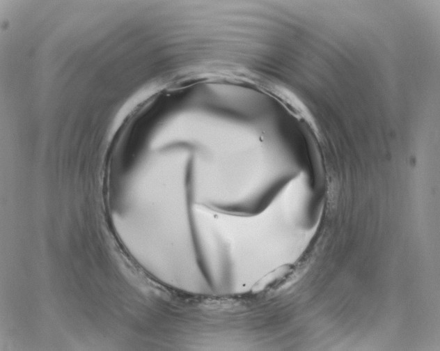 X0000062931146200602031940