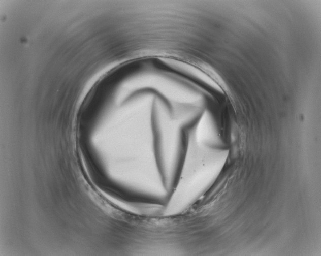 X0000062931148200602031940