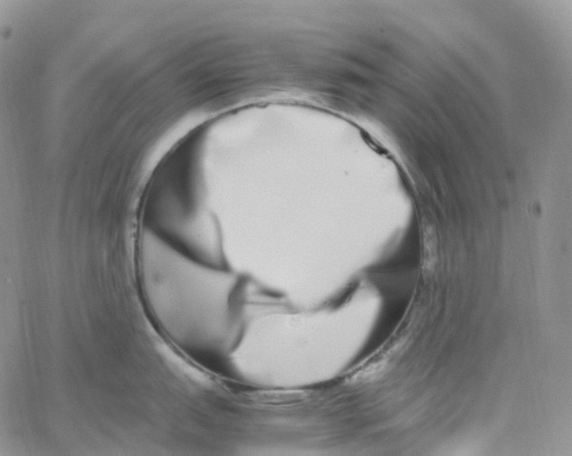 X0000062931151200602031940