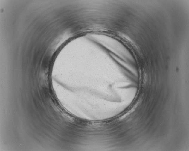 X0000062931162200602031939