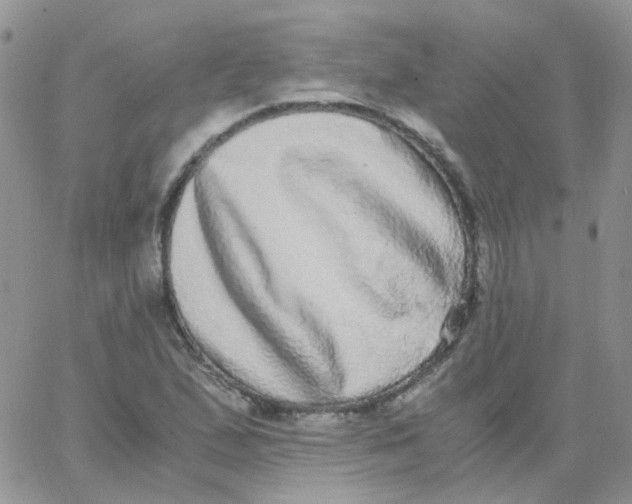 X0000062931167200602031939
