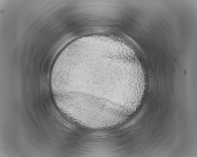 X0000062931178200602031939