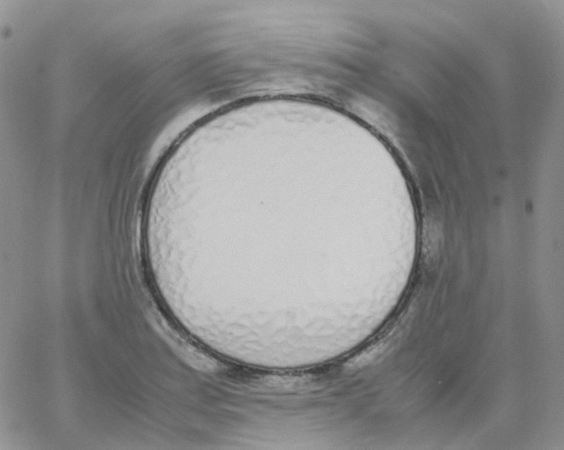 X0000062931179200602031939