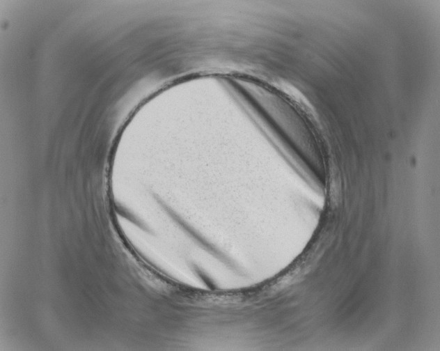 X0000062931183200602031939