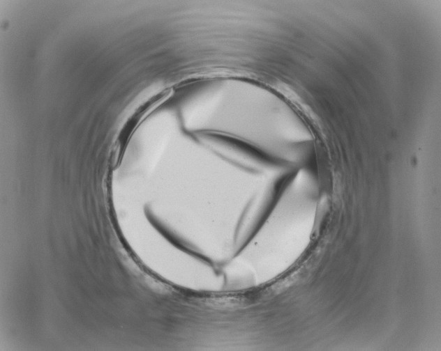 X0000062931189200602031939