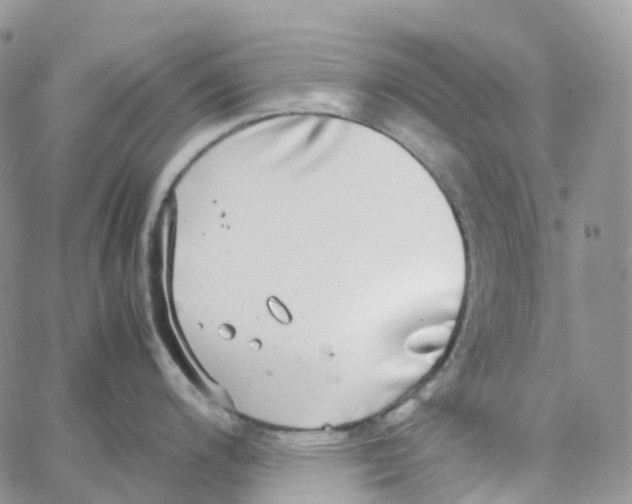 X0000062931200200602031939