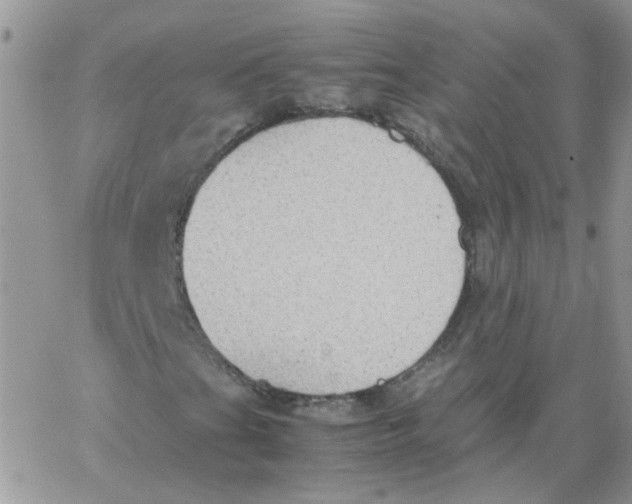 X0000062931201200602031938